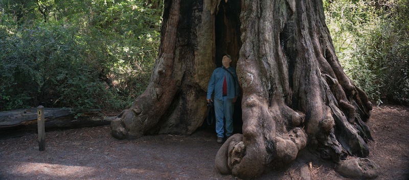 Big Basin