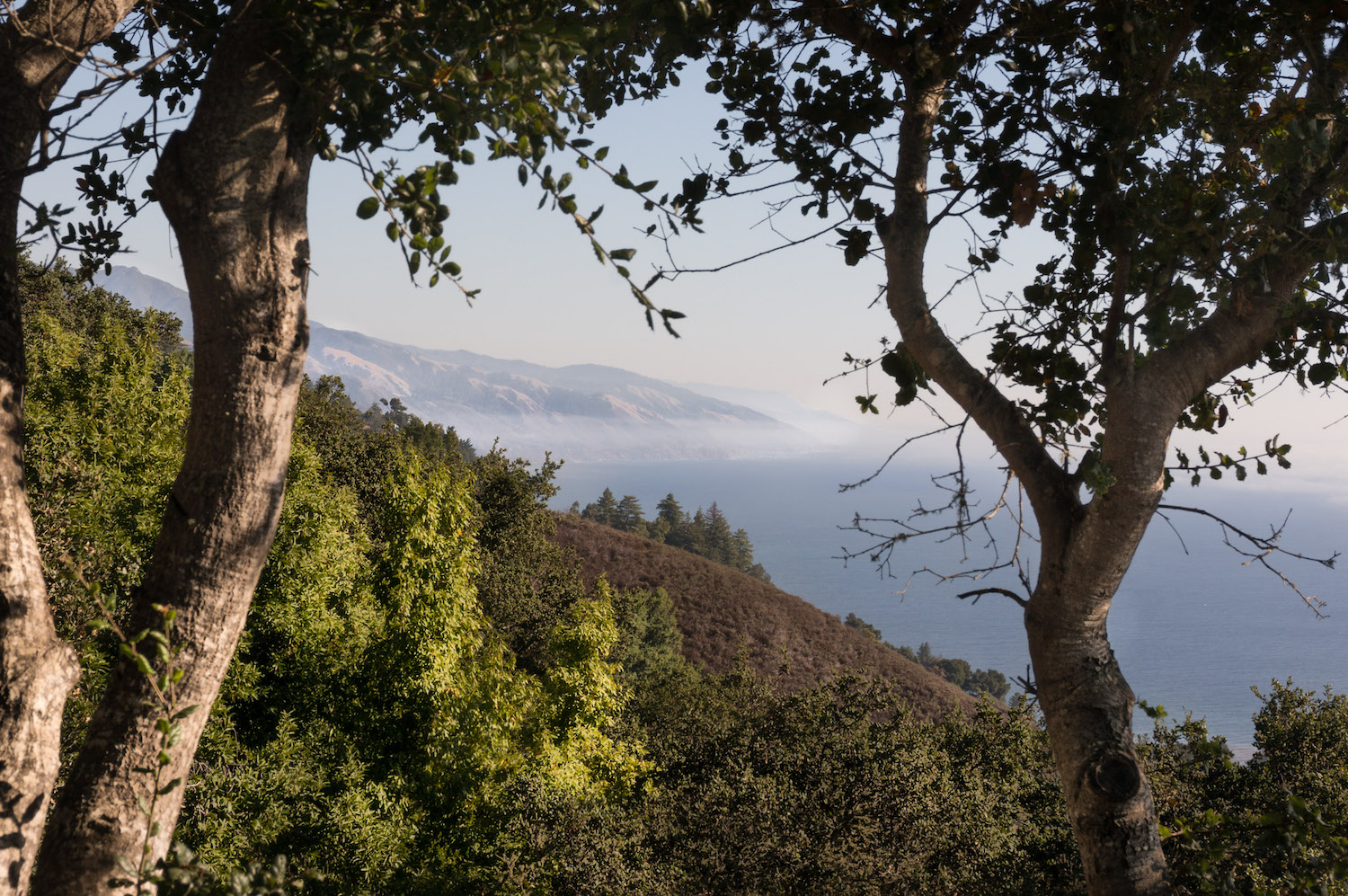 Ventana view