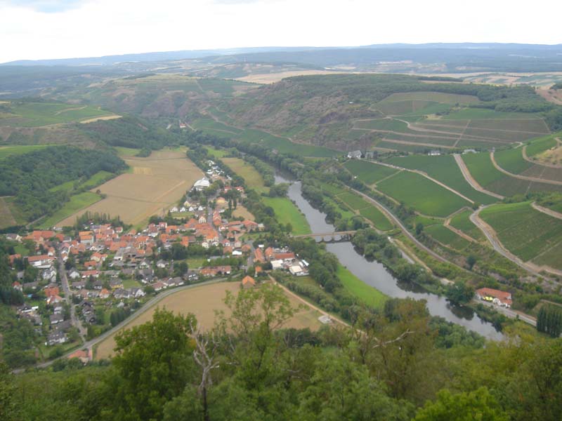 Nahe vineyards