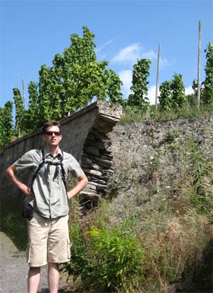 Moselle vineyards