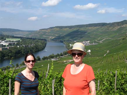 Moselle vineyards