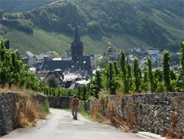 Moselle