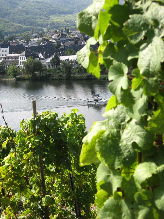 Moselle