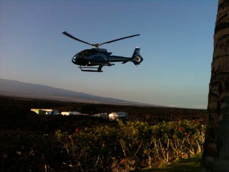 Blue Hawaii Helicopter