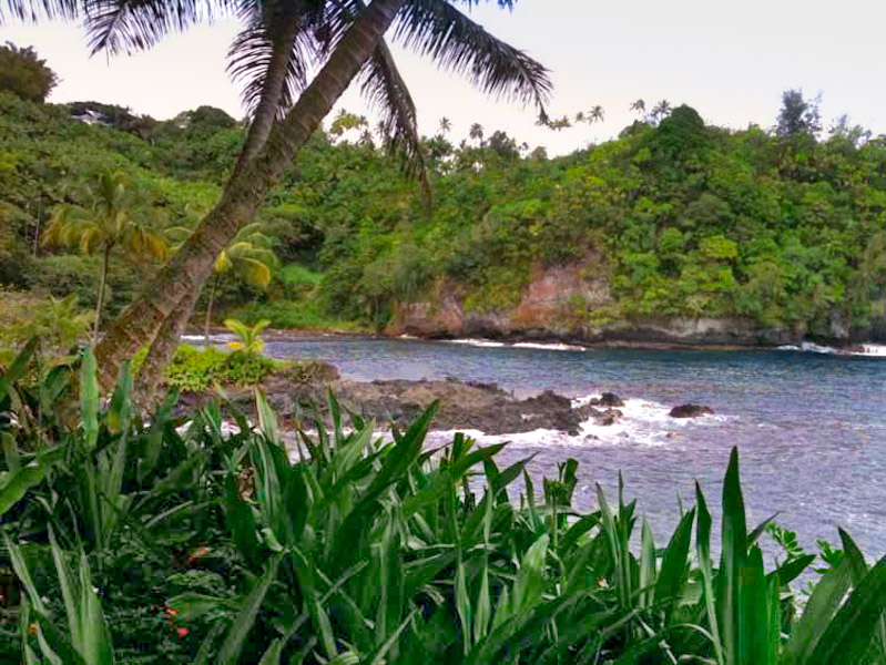 Hawaii coast