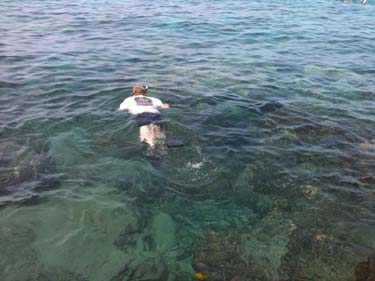 South Kona snorkling