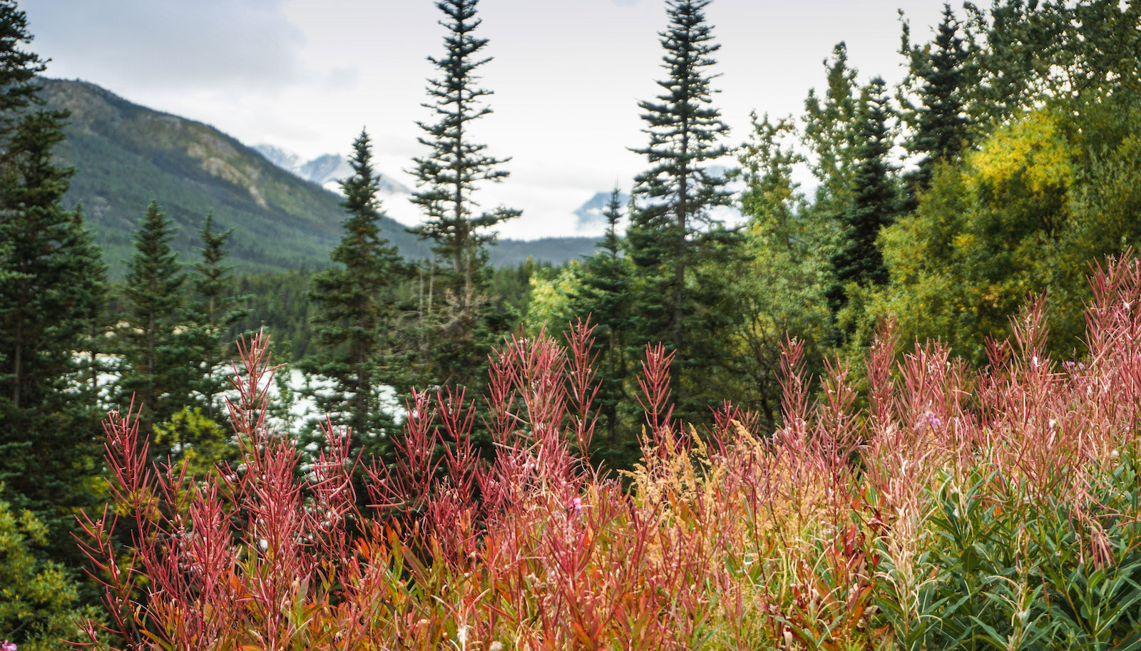 Near Alaska-Canada border