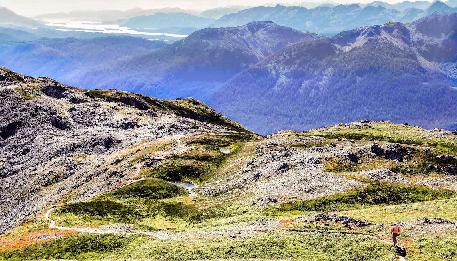 Mount Roberts Trail