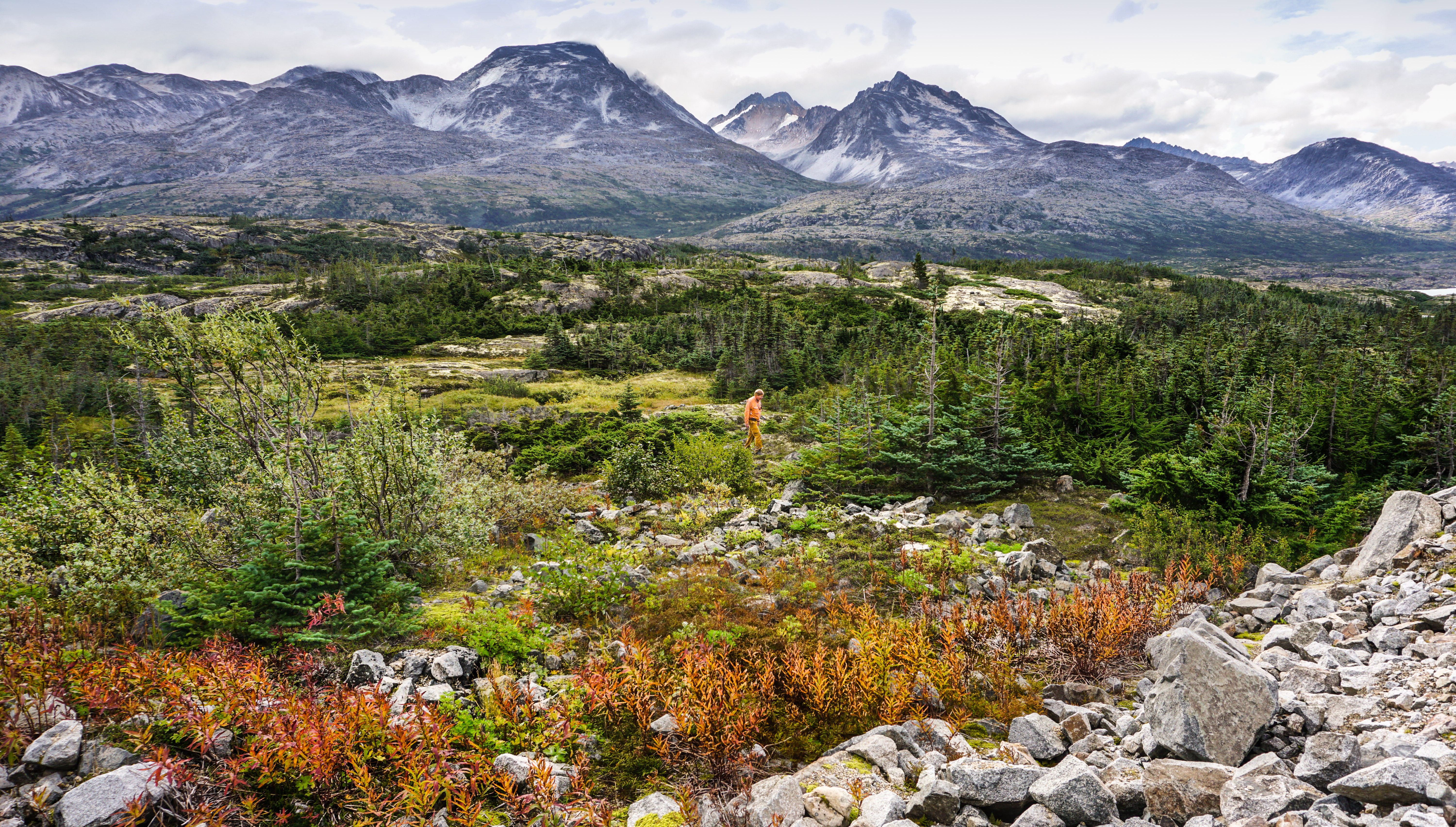 White Pass