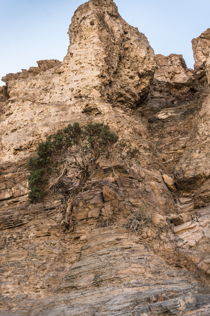 Mosaic Canyon