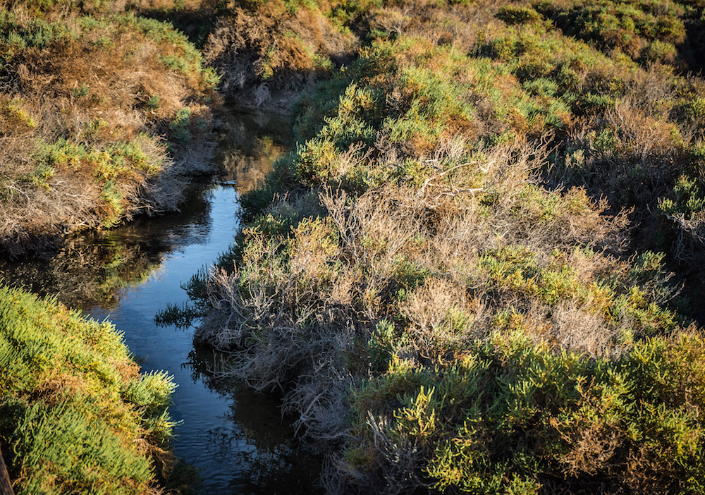 Salt Creek