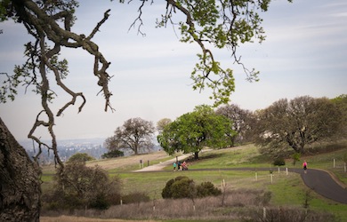 Stanford Dish Trail