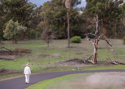 Walking the Stanford Dish