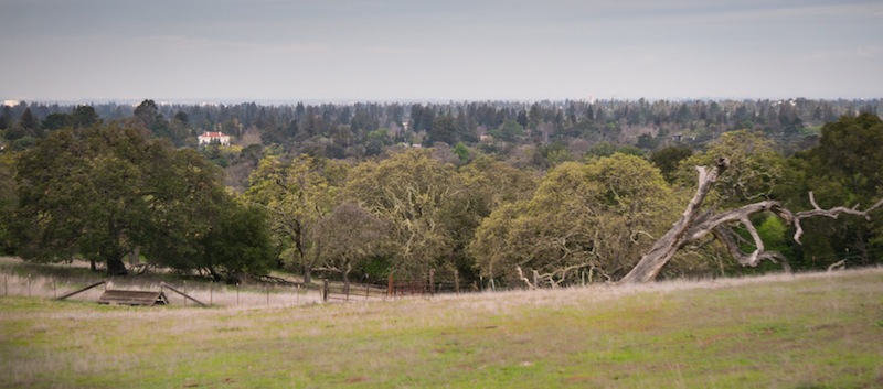 Stanford foothills