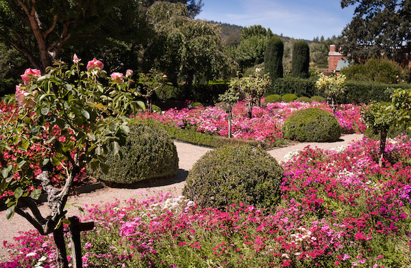 Filoli garden