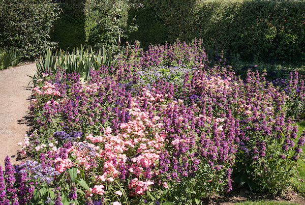 Filoli garden