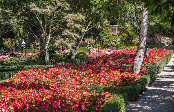 Filoli garden