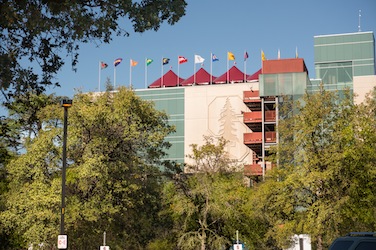 Stanford Stadium