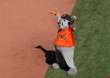 Lou Seal