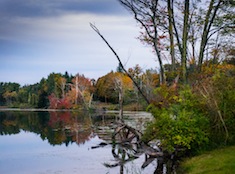 Rudd Pond