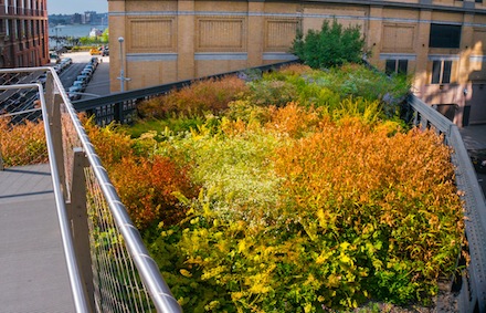 High Line Park