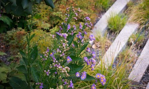 High Line Park