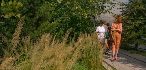 High Line Park