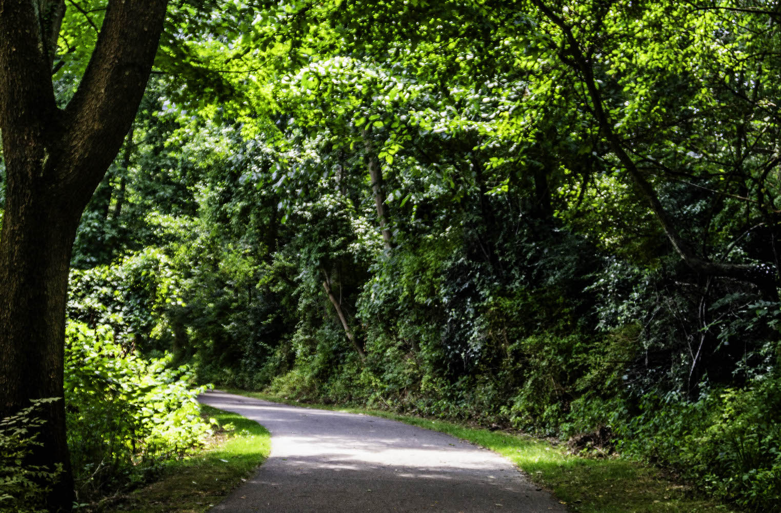 Portage Bike Path