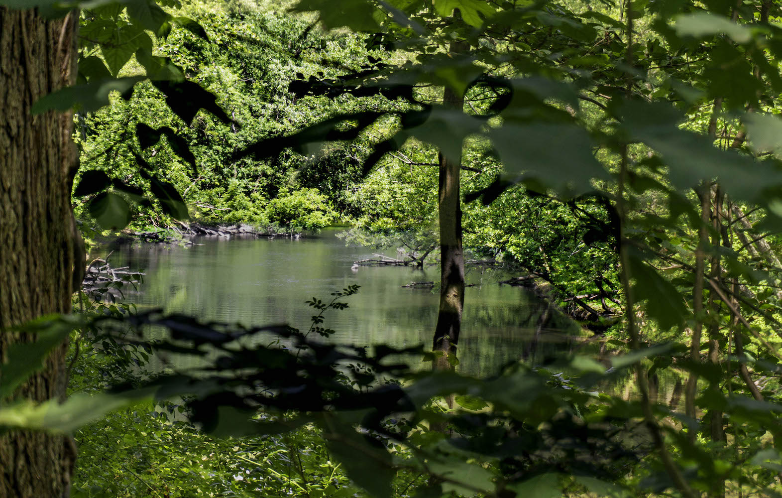 Cuyahoga River