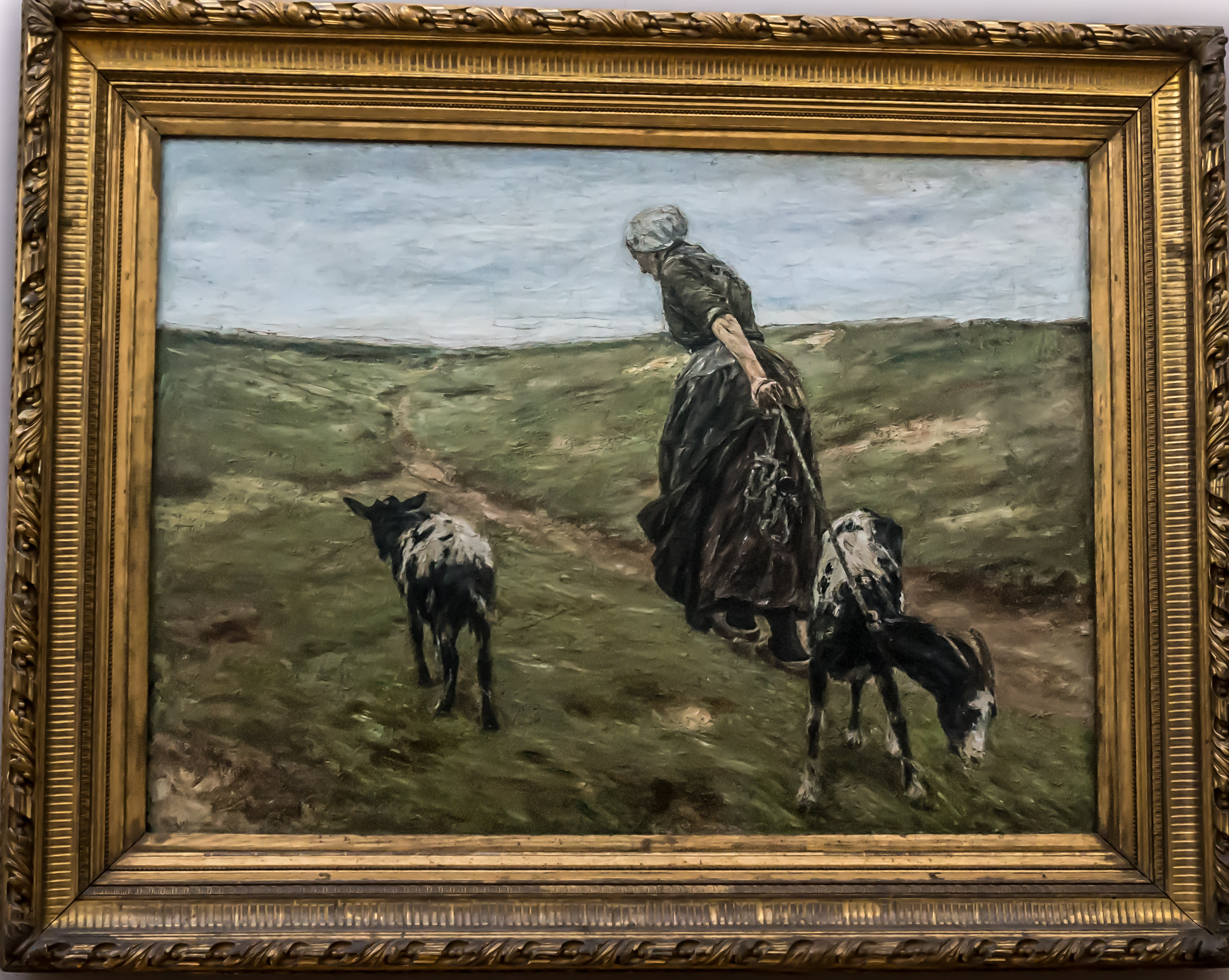 Woman with Goats in the Dunes