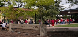 Maples Pavilion