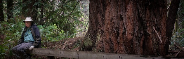 Mike at Purisima Creek