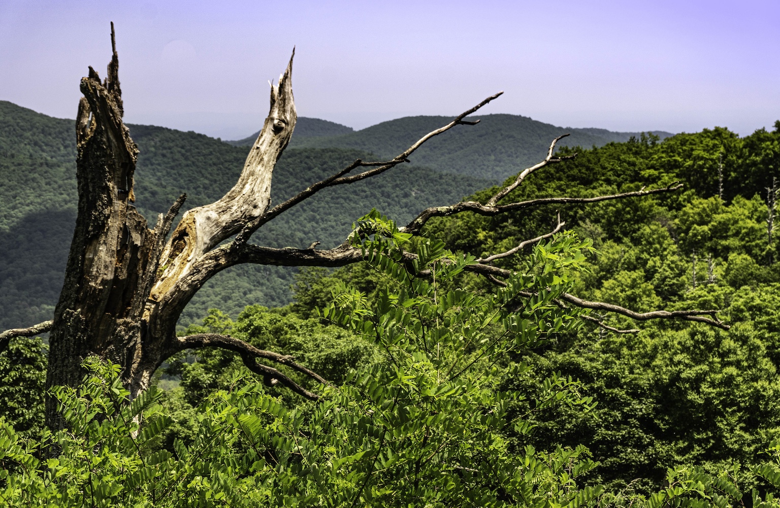 Blue Ridge mountains