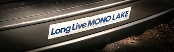 Mono Lake bumper sticker